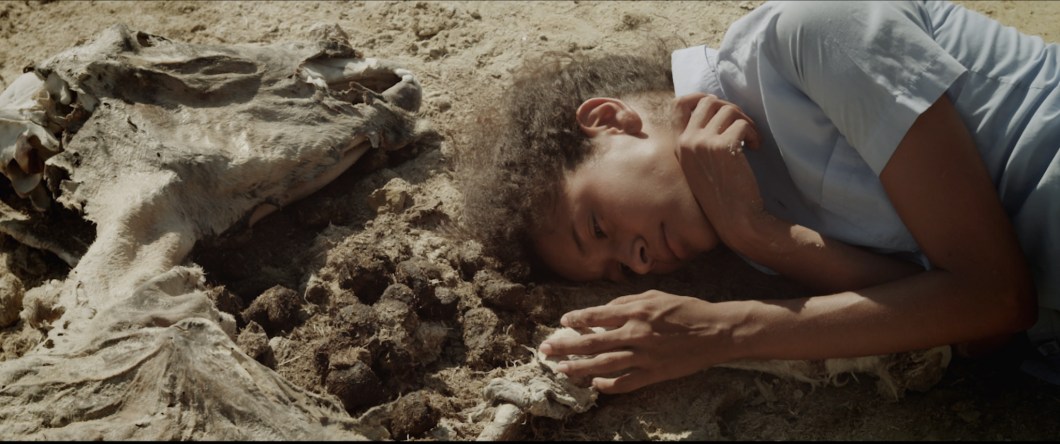 HDLS still 9 (1) (1).jpg