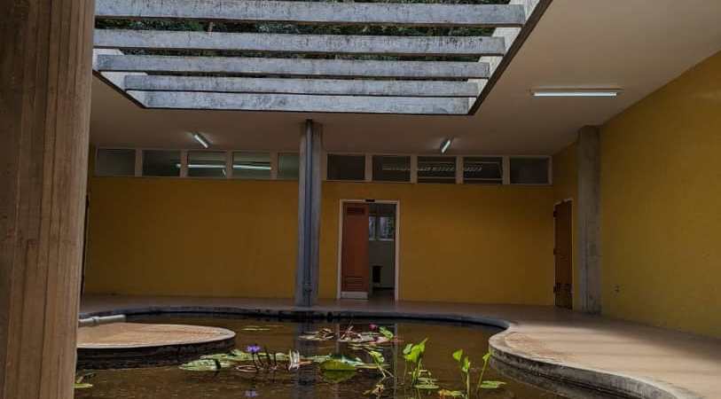 Jardín, ciudad, palabra