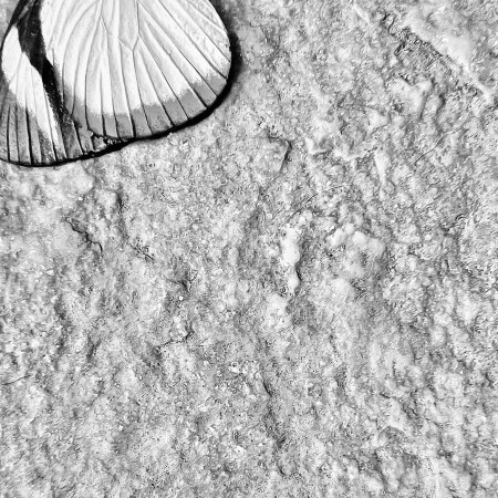 Parking rafael Greco