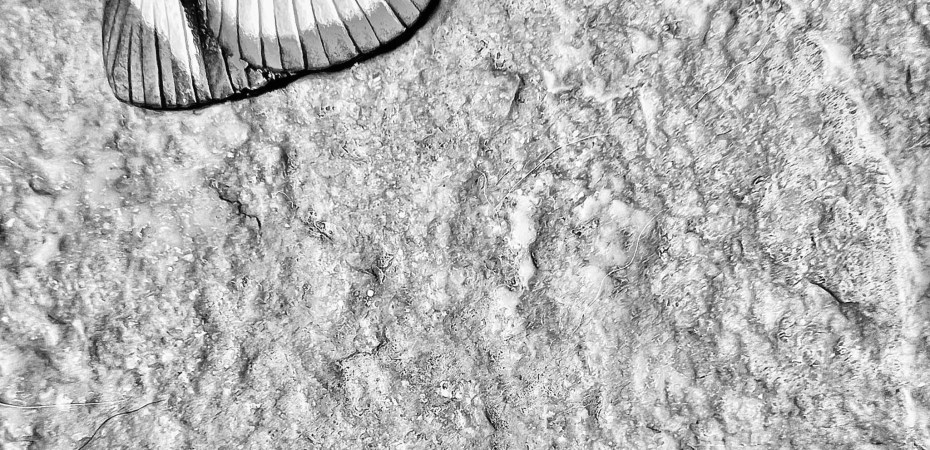 Parking rafael Greco