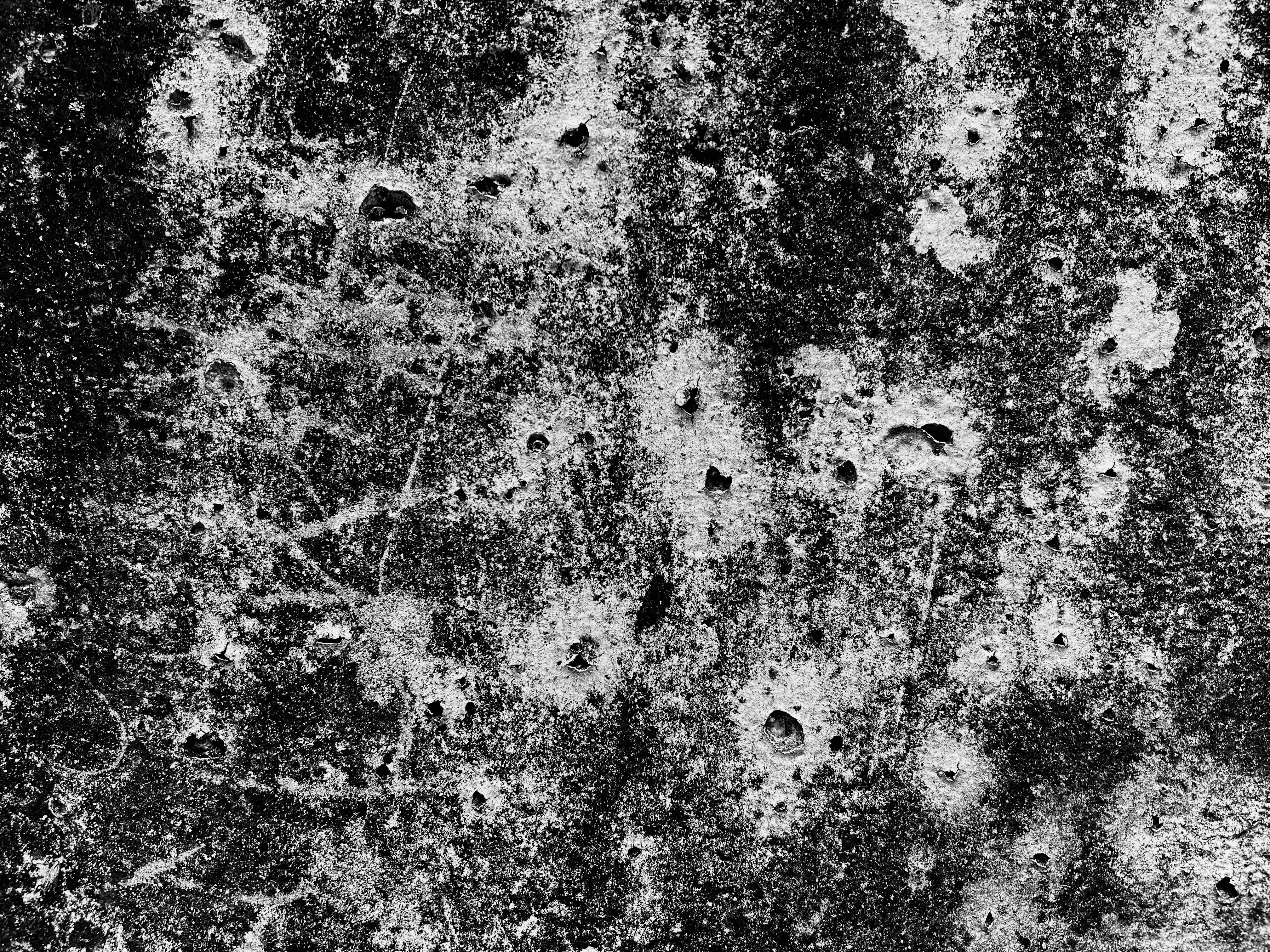 Guía para observar la naturaleza