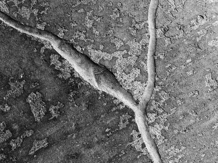 Inseptos inectos/ «Colección» (Tercera entrega)