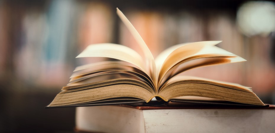 Literatura, ¿para qué?